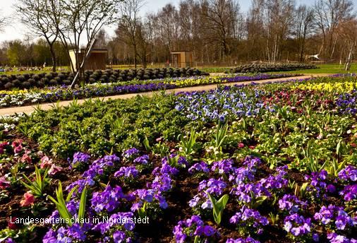 Der Henstedt-Ulzburg-Tag bei der Landesgartenschau