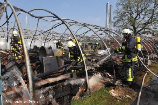 Ein Verletzter bei Großbrand in Gärtnerei