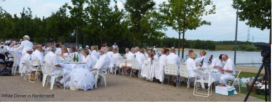 Wie eine weiße Invasion am Stadtparksee:  300 folgten dem Aufruf zum weißen Dinner