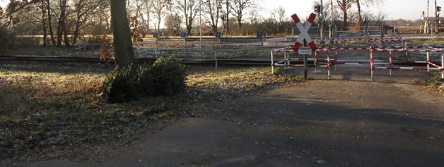 Das sind die Weihnachtsbaum-Sammelstellen in Henstedt-Ulzburg