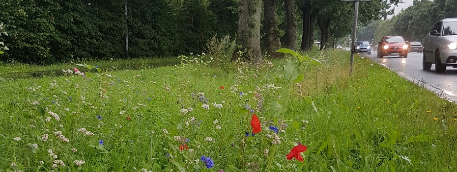 Bald summt und brummt es wieder! Aber wie lange noch?