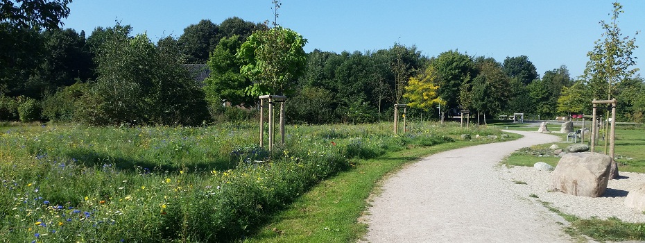 Einheitsbuddeln – Gemeinsame Pflanzaktion aller Parteien im Bürgerpark