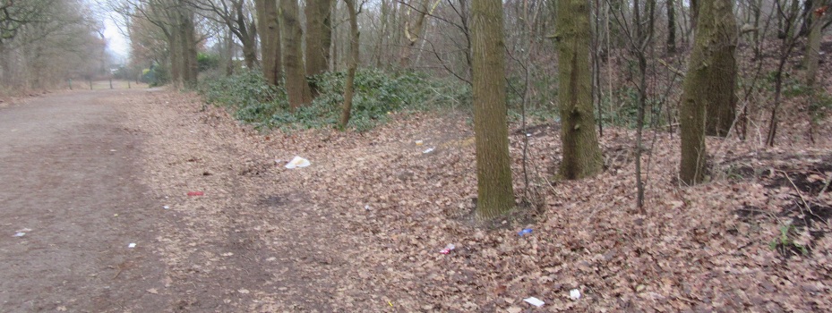 Großreinemachen am Sonnabend in Henstedt-Ulzburg